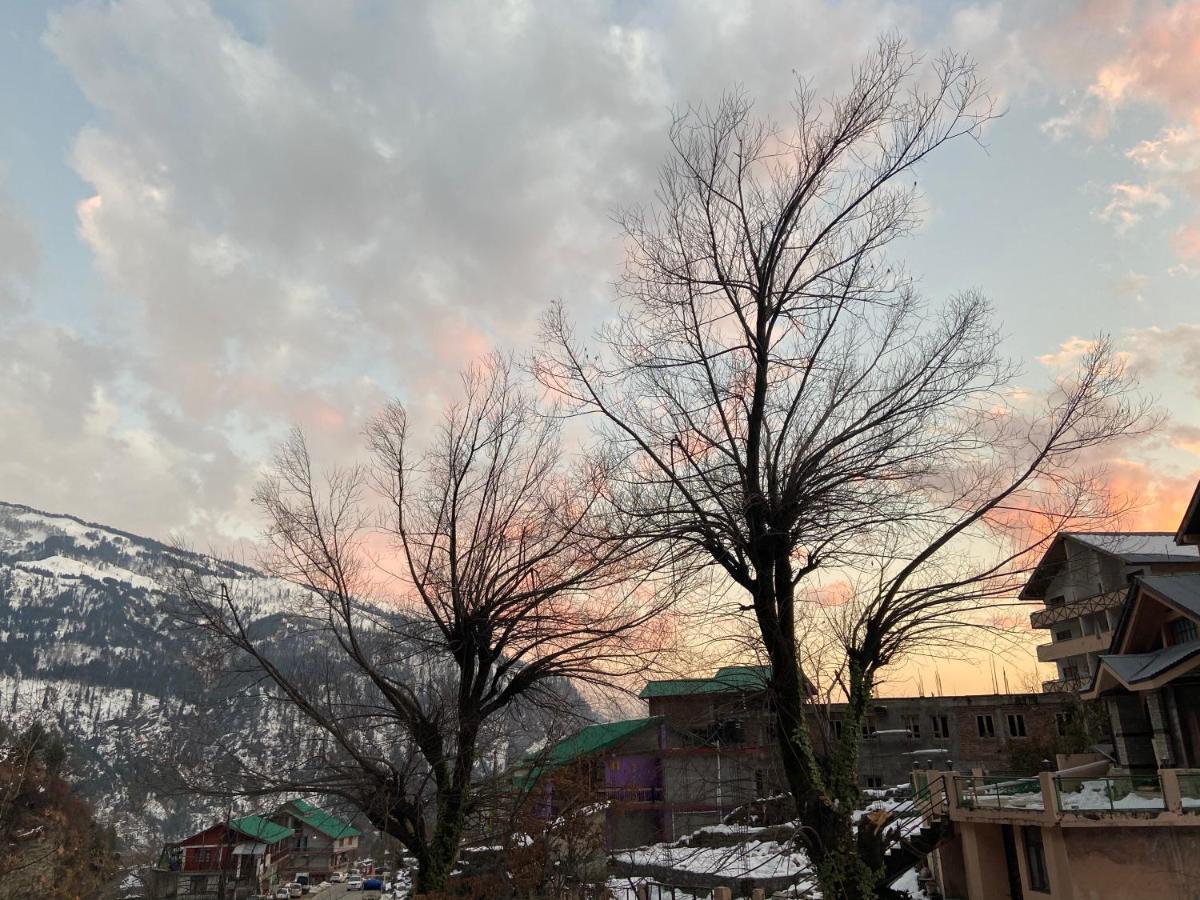 Solang Valley Resort Манали Экстерьер фото