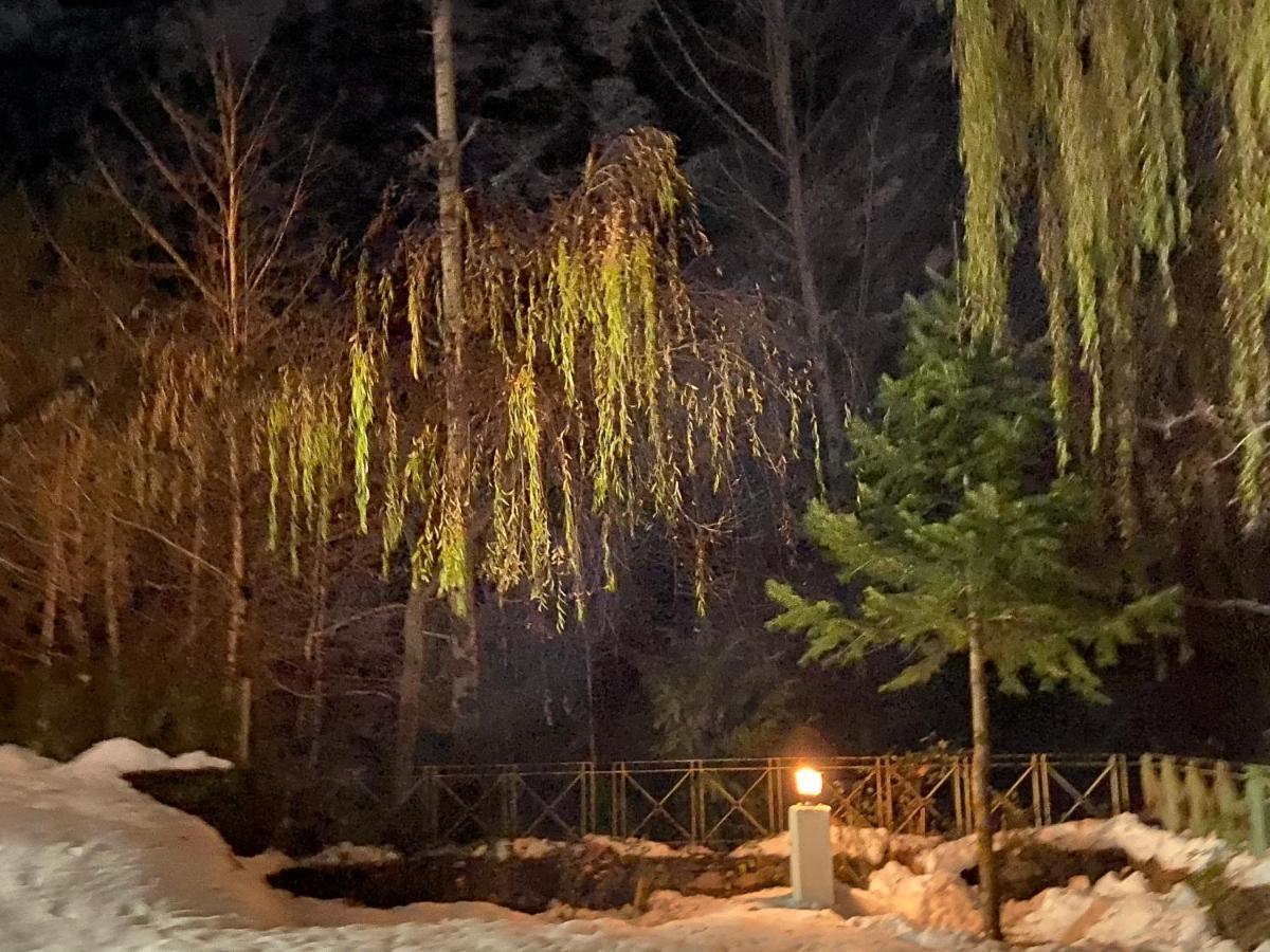 Solang Valley Resort Манали Экстерьер фото