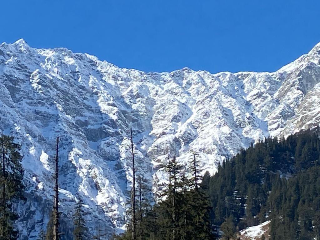 Solang Valley Resort Манали Экстерьер фото
